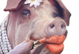 lipstick on a pig